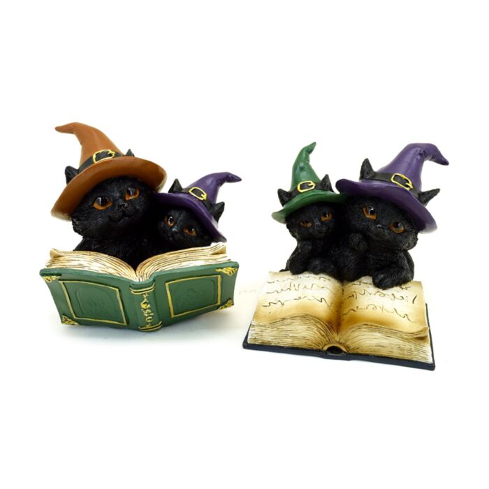 Chats Sorciers lisant Livre d'Invocations
