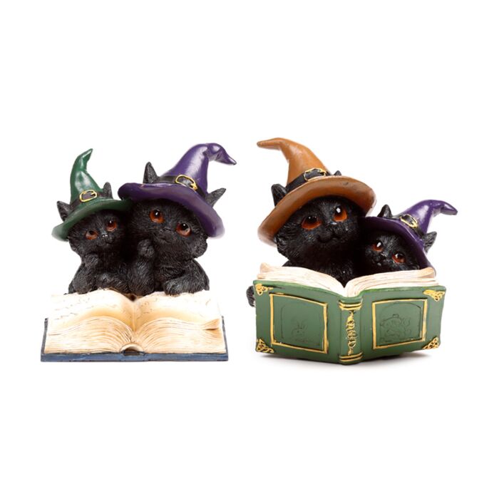 Chats Sorciers lisant Livre d'Invocations