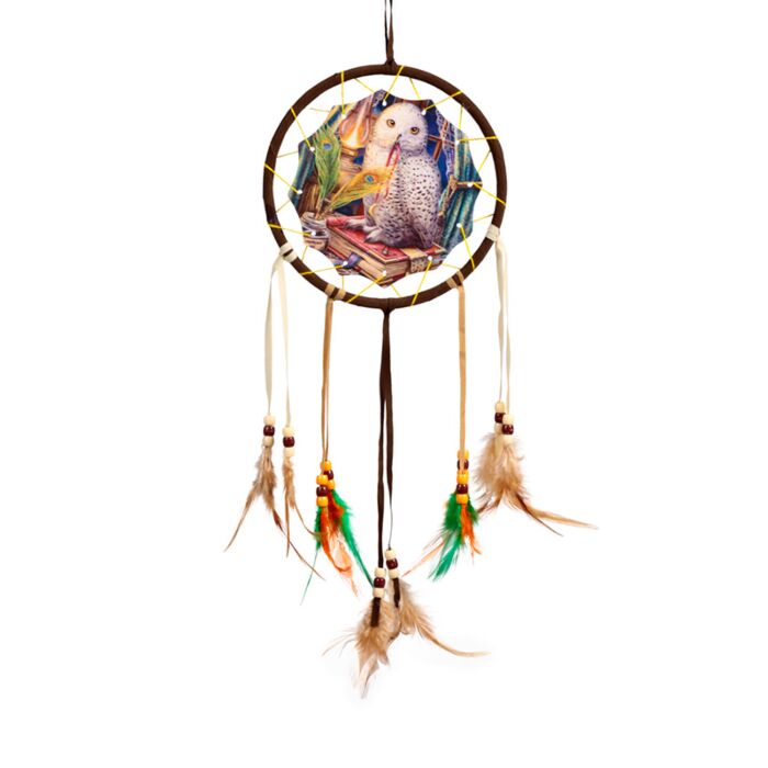 Attrape-rêves Lisa Parker Hibou Gardien des Invocations 16cm