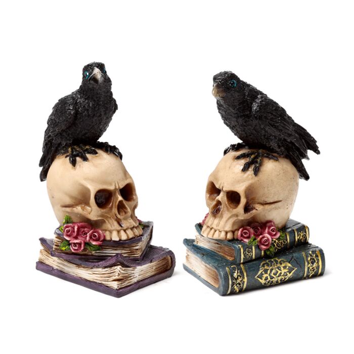 Corbeau perché sur Crâne et Livres 