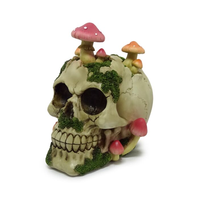 Crâne couvert de Champignons et Mousse