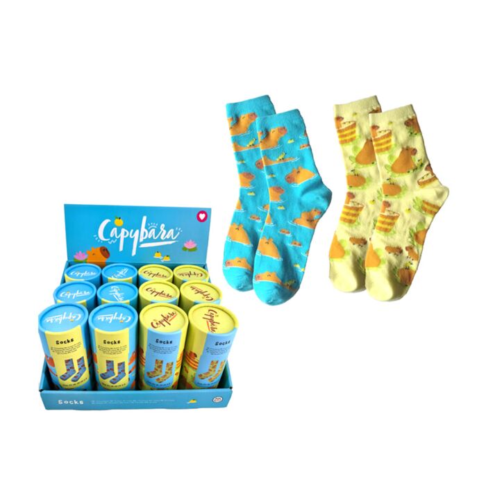 Chaussettes dans tube - Capybara