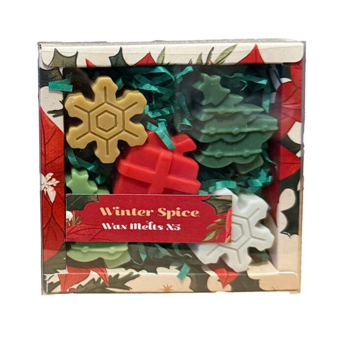 Lot de 5 Fondants de Cire - Plantes de Noël Epices d'Hiver