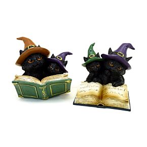 Chats Sorciers lisant Livre d'Invocations