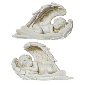 Chérubin, Couché dans Ailes, 2 ass