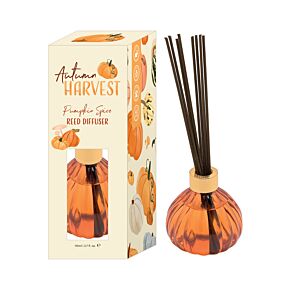 Diffuseur par capilarité 100ml Citrouille - Autumn Harvest 