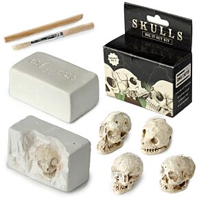 Kit de Fouille - Crânes Humains