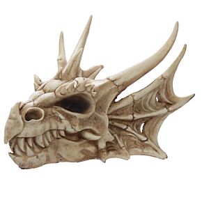 Crâne de Dragon Décoratif