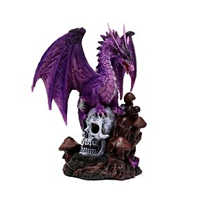 Dragon Améthyste sur Crâne - Enchanted Nightmare 