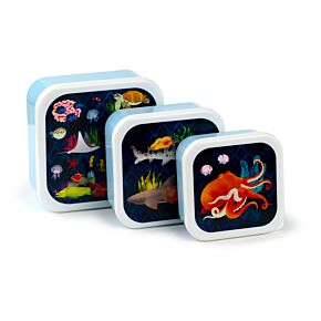 Lot de 3 boîtes Repas M/L/XL -  Marine Kingdom