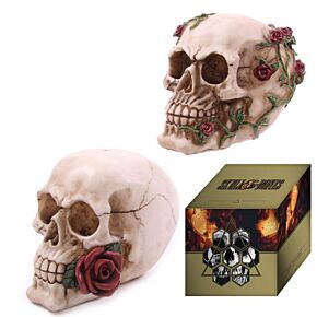 Crâne avec roses