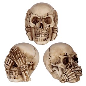 Lot de 3 Petits Crânes de la Sagesse