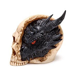 Dragon noir dans Crâne ( Grand ) - Shadows of Darkness 