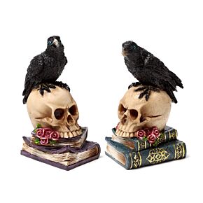 Corbeau perché sur Crâne et Livres 