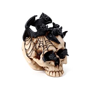 Crâne avec Chauve-souris à l'intérieur 