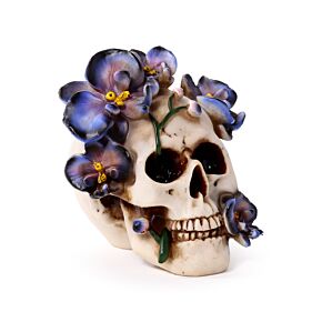 Crâne avec Orchidées violettes 