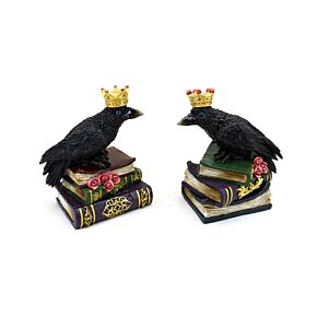 Corbeau Couronné assis un Livre