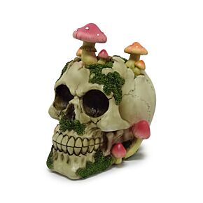 Crâne couvert de Champignons et Mousse