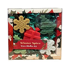 Lot de 5 Fondants de Cire - Plantes de Noël Epices d'Hiver