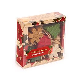 Lot de 5 Fondants de Cire - Plantes de Noël Epices d'Hiver