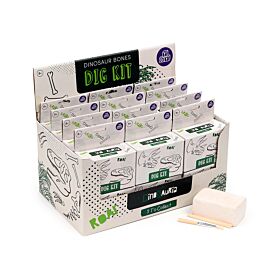 Kit de Fouille RAWR - Fossil Crâne de Dinosaure