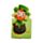 Lot de Marque-pages Magnétiques Irlande - Luck of the Irish 