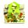 Sac Repas Isotherme en Plastique Recyclé RPET - Tropical Frogs Grenouilles Tropicales