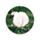 Lot de 4 Dessous de Verre Mouton