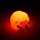 Veilleuse LED - Adoramals Mouton