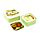 Lot de 3 Boîtes Repas M/L/XL - Tropical Tree Frog Grenouilles Tropicales