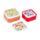 Lot de 3 Boites Repas - Tulipes