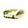 Porte-Monnaie PVC - Tropical Frogs Grenouilles Tropicales