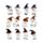 Figurines Mages Hiboux 