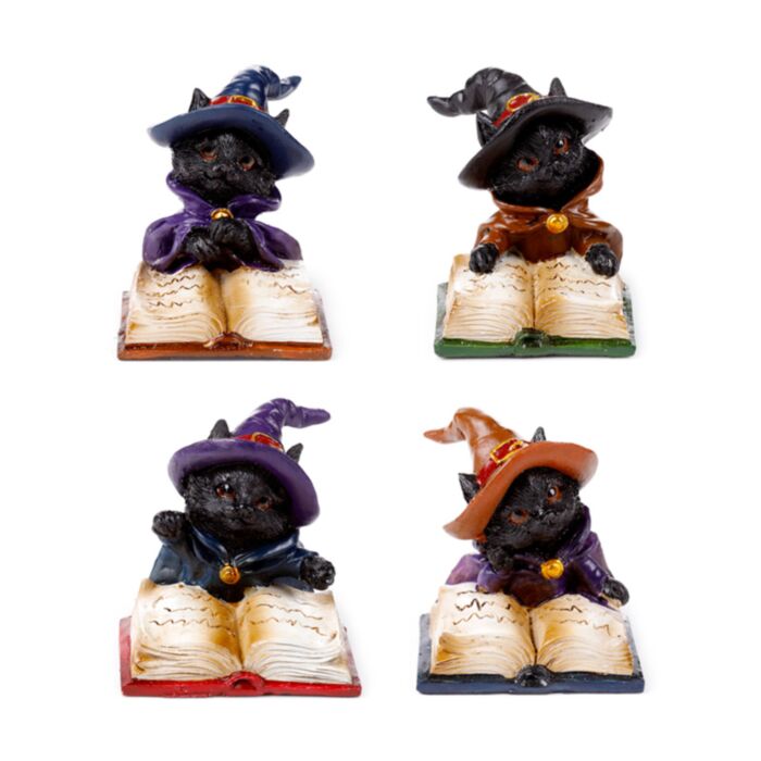 Chat Sorcier Noir Lisant Livre de Sorts