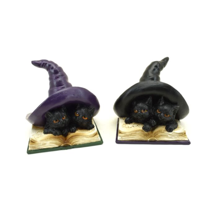 Chats Sorciers Apprenant des Invocations