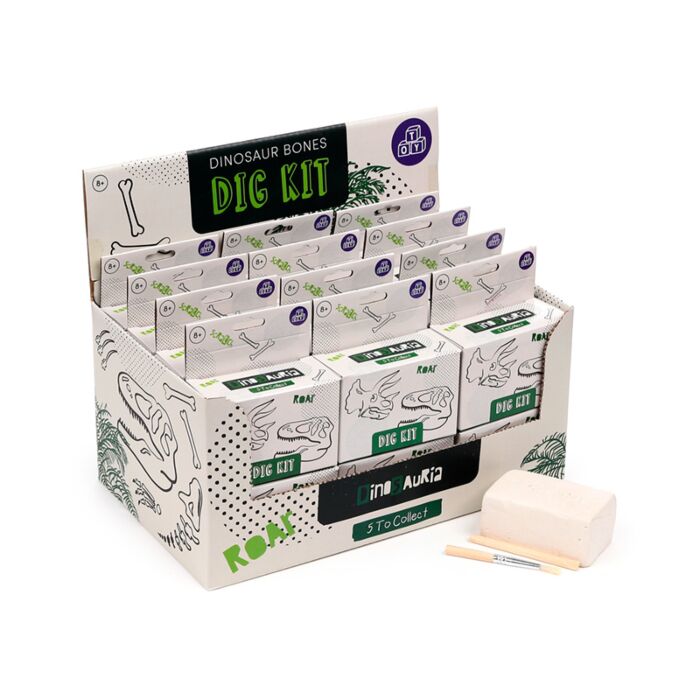 Kit de Fouille RAWR - Fossil Crâne de Dinosaure