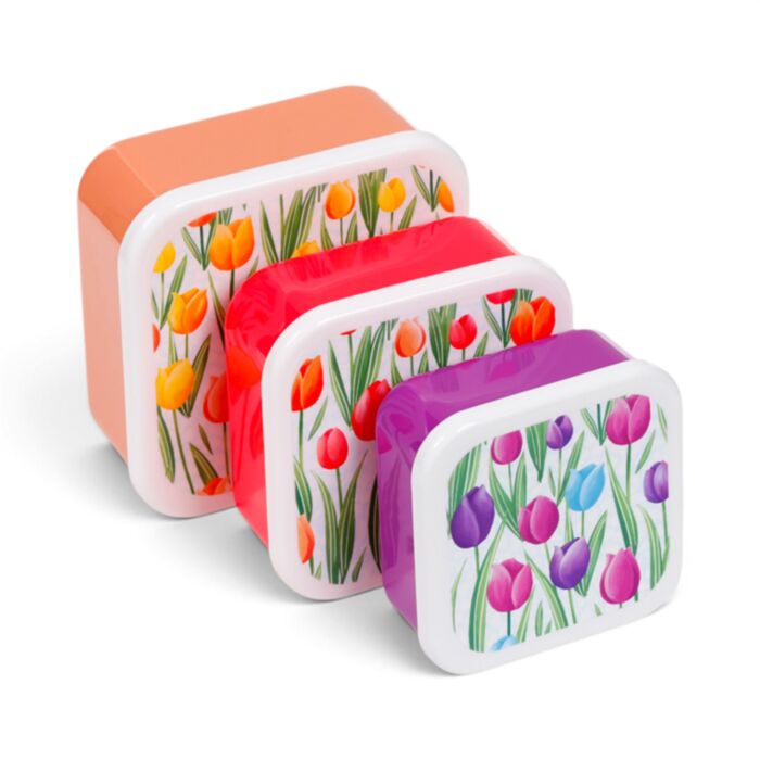 Lot de 3 Boites Repas - Tulipes
