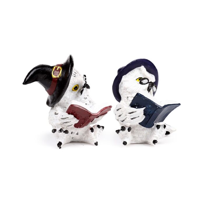 Chouette Magique lisant des Incantations 