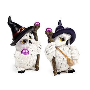 Chouette Magique en voyage Chouette Magique en voyage