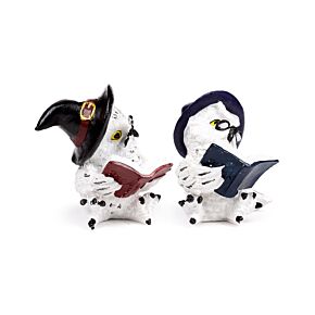 Chouette Magique lisant des Incantations Chouette Magique lisant des Incantations