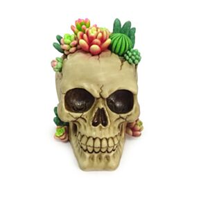 Crâne avec Plantes Succulentes 