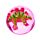 Balles Rebondisantes Dinosaures