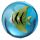 Balles rebondissantes poissons tropicaux 3D bocal plastique