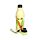 Gourde Isolée 500ml en Acier Inoxydable pour Boissons Chaudes ou Froides - Grenouille Tropicale