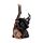 Chats Sorciers avec leur balai