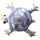 Animal Sable, Tortue de mer