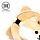 Coussin de Voyage Relaxeazzz Peluché 2-en-1 avec Masque Yeux - Chien Shiba Inu