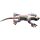 Animal de Sable, Lezard à Collier, Grand