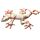 Nouvel Animal de Sable Gecko