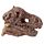 Kit de Fouille RAWR - Fossil Crâne de Dinosaure